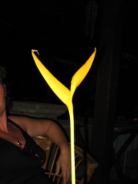 2007 07 23 BALI 045.jpg